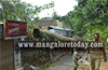 Mangaluru: Tree rolls over 4 houses on Jail Road